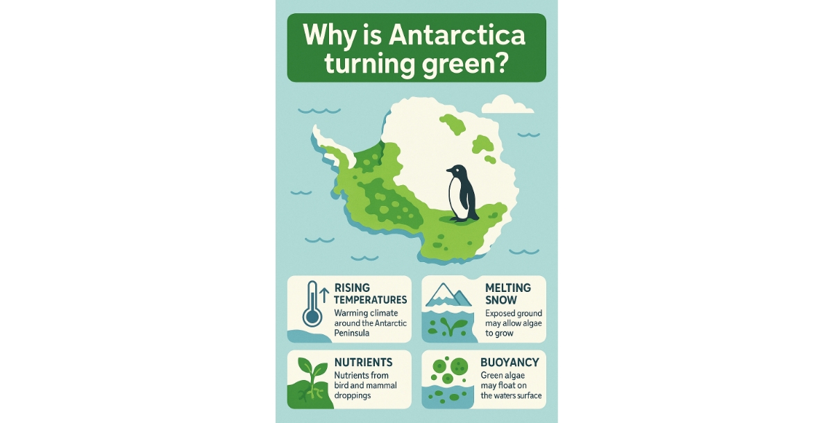 why is antarctica is turning green