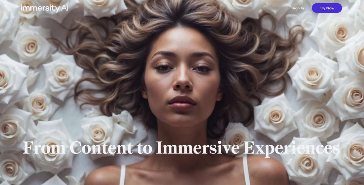 Immersity AI Best 2D to 3D Image Converter Tools