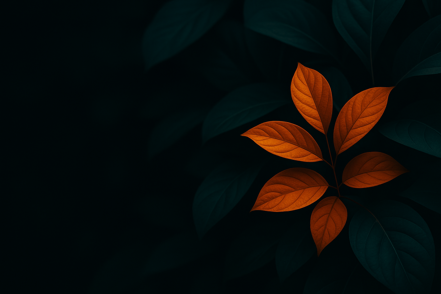 Proposal design by Cora Nwosu
